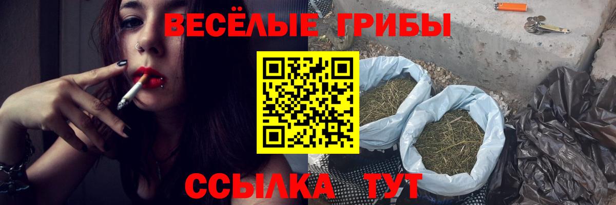 Орехово-Зуево  Псилоцибиновые грибы мухоморы  Вход с VPN 
